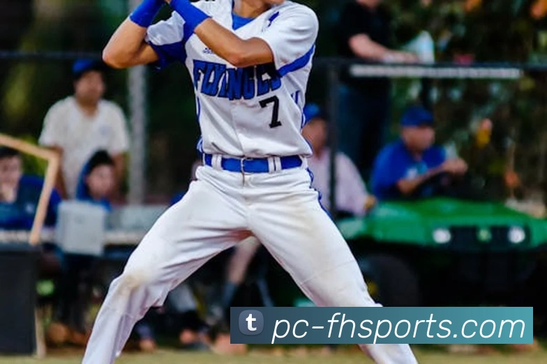 体育下注平台生态图